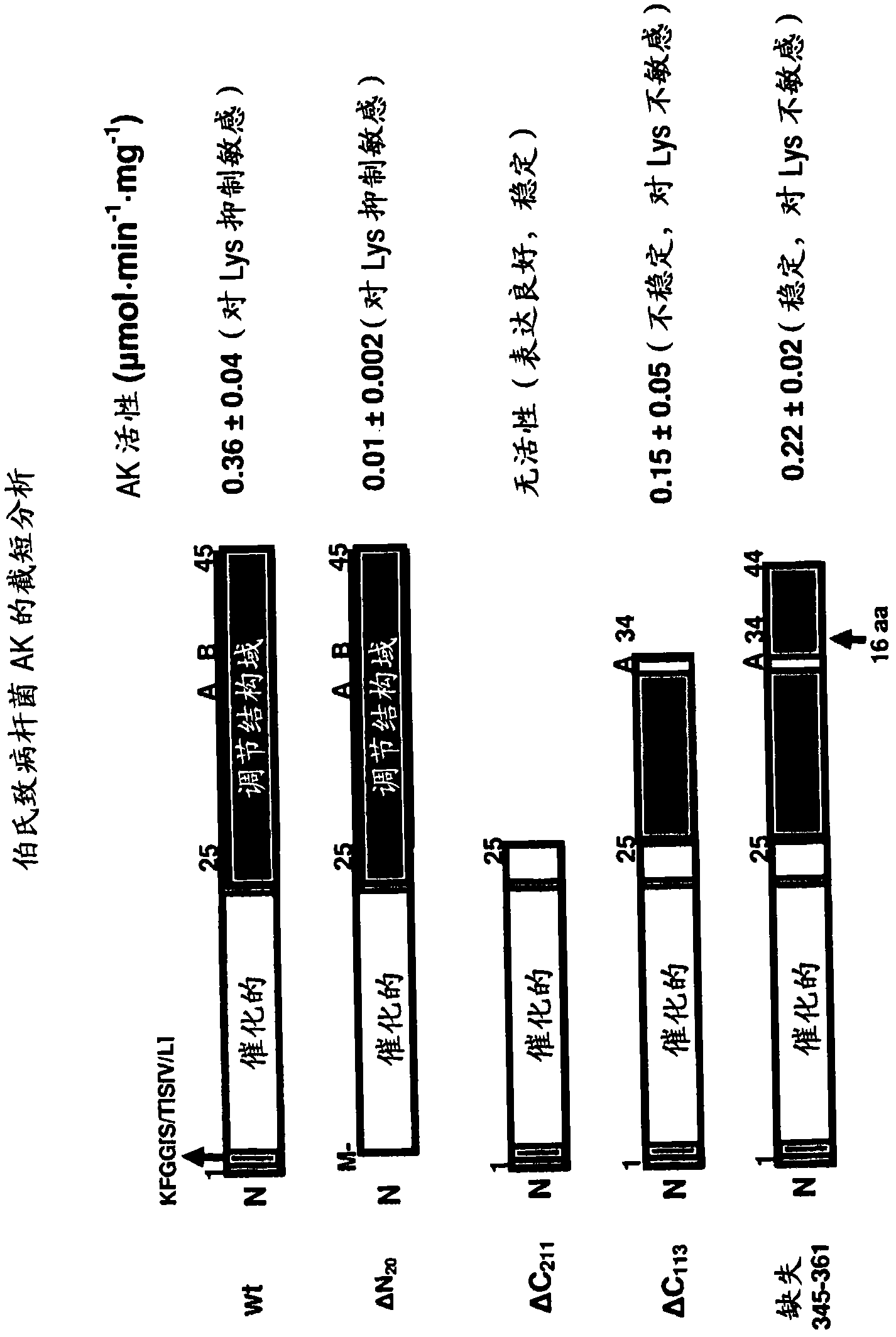 Compositions and methods for enhancing amino acid levels in plants