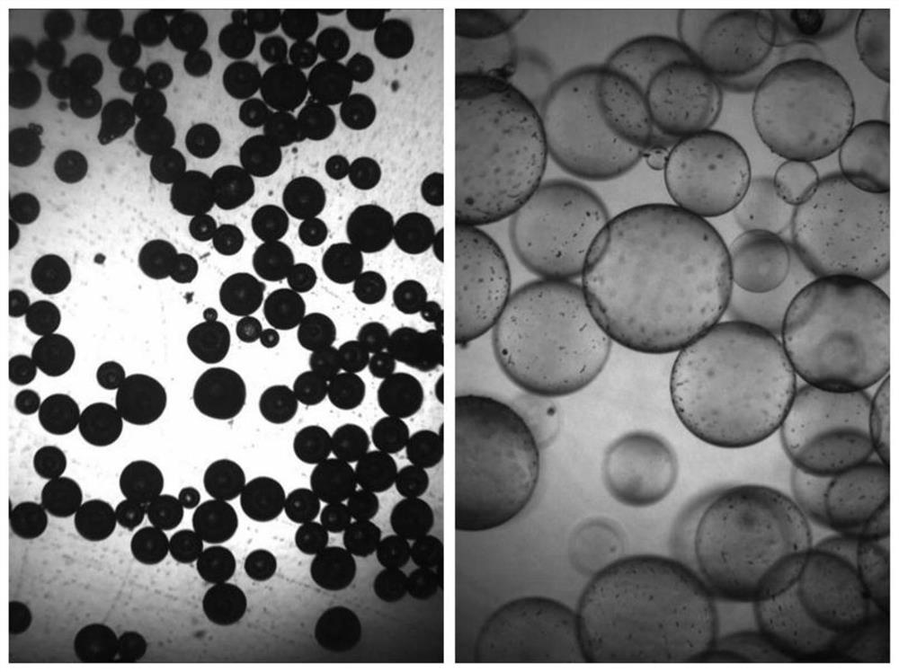 A kind of acrylic resin thermal expansion foaming microsphere and preparation method thereof