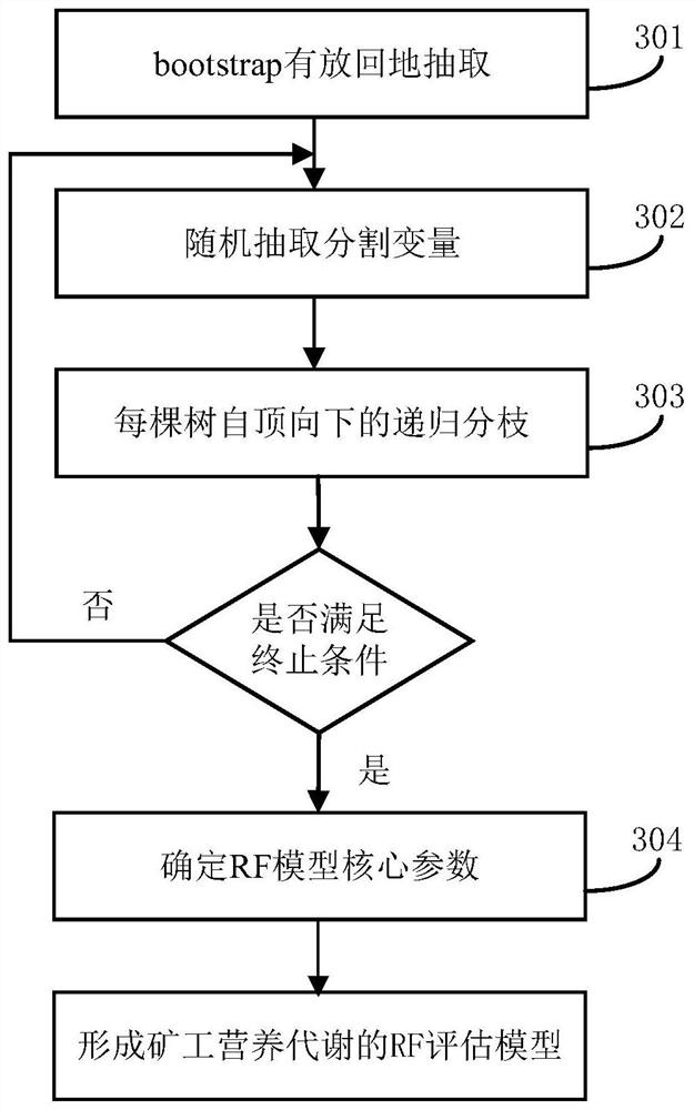 Miner nutrition metabolism evaluation method and system based on random forest and word2vec