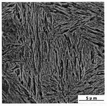 High-strength high-toughness high-carbon bainite steel and preparation method thereof