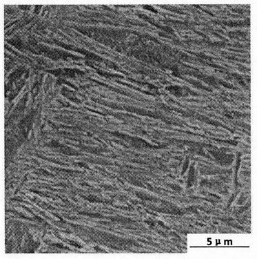 High-strength high-toughness high-carbon bainite steel and preparation method thereof