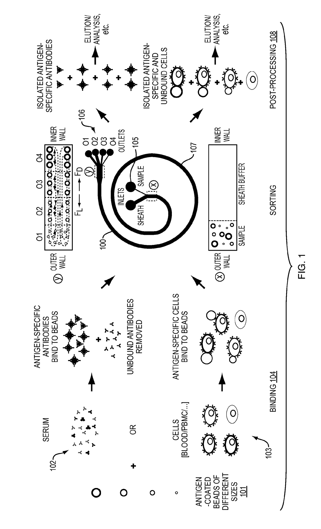 System and method for multiplexed affinity purification of proteins and cells