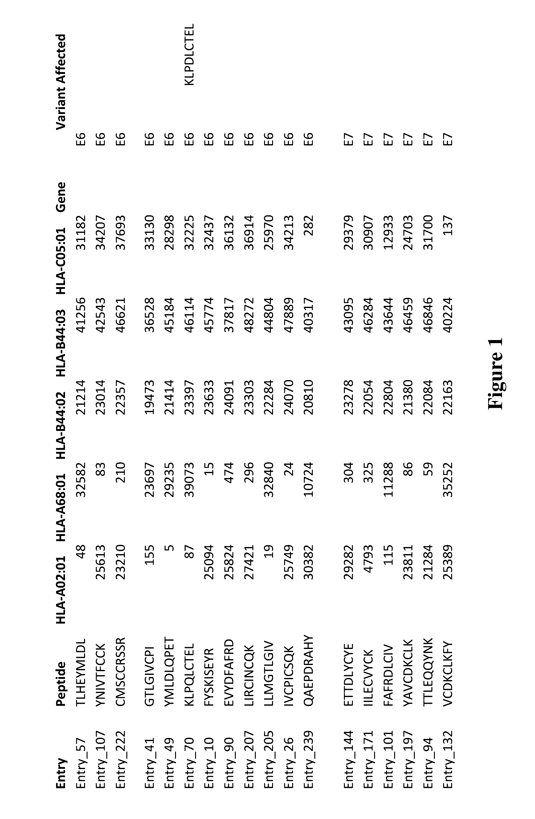 Viral Neoepitopes and Uses Thereof