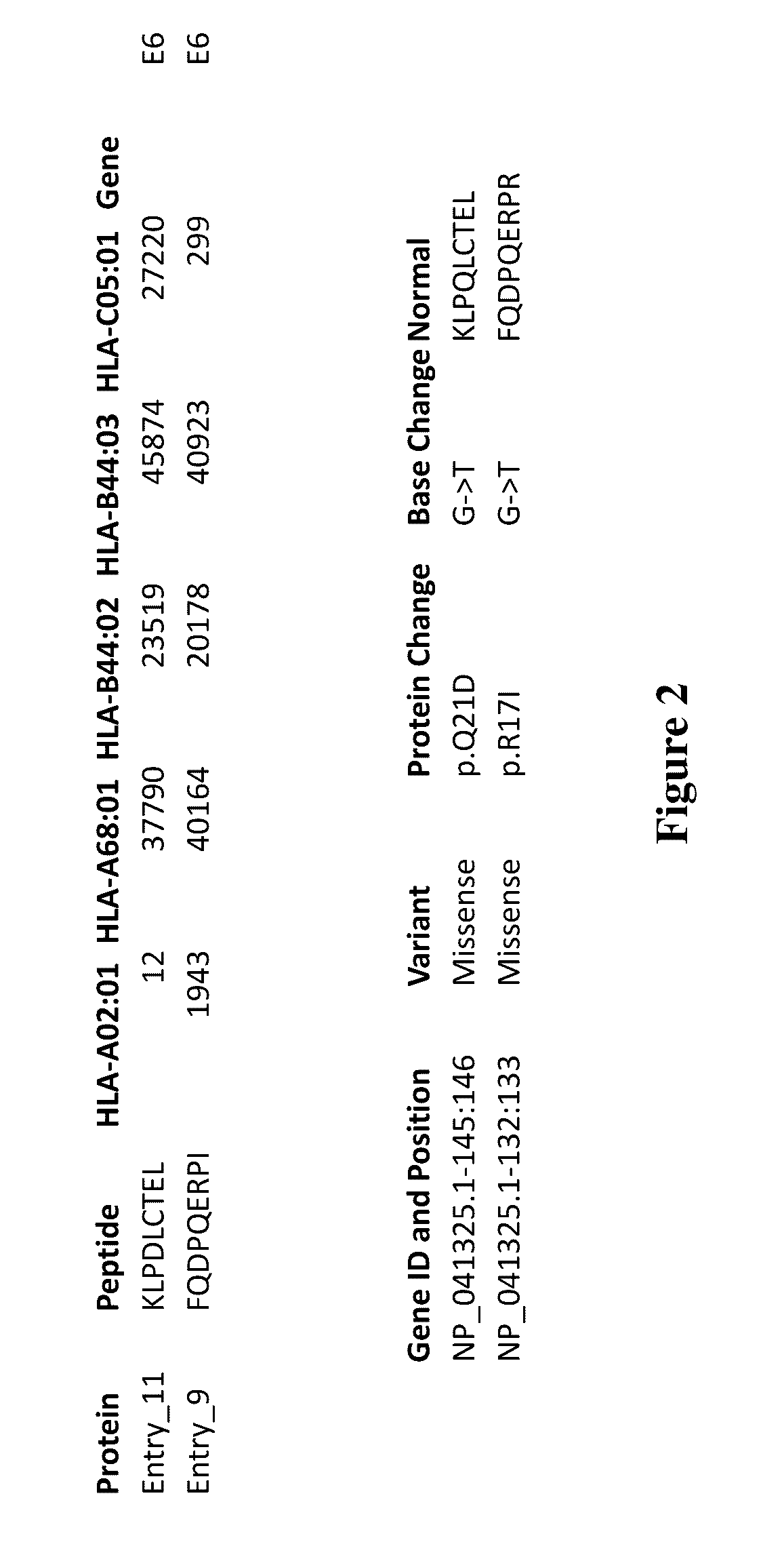 Viral Neoepitopes and Uses Thereof