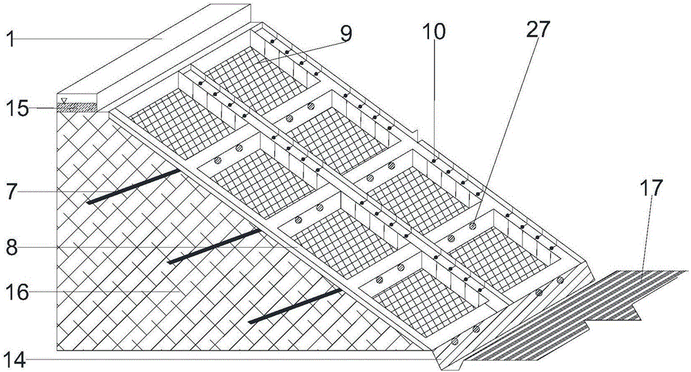 Ecological slope protection structure of road cutting side slope and construction method