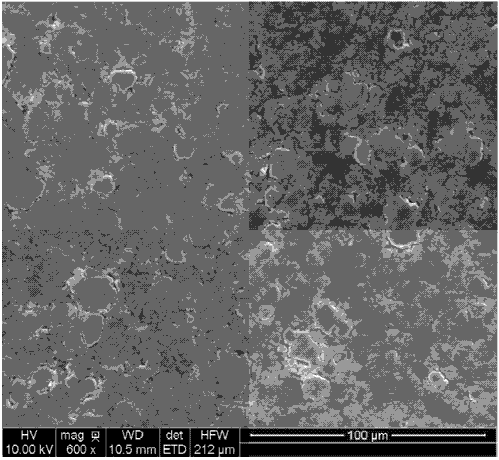 Positive electrode material used for lithium-iodine battery