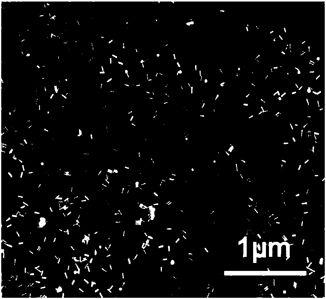 Method for rapidly detecting sulfur dioxide in wine on-site