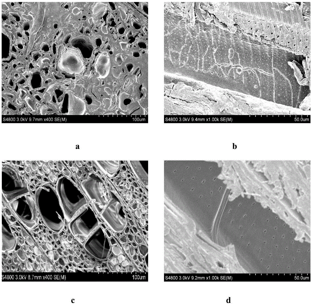Drug-carrying polymer wood/bamboo modifier, and production and application methods thereof