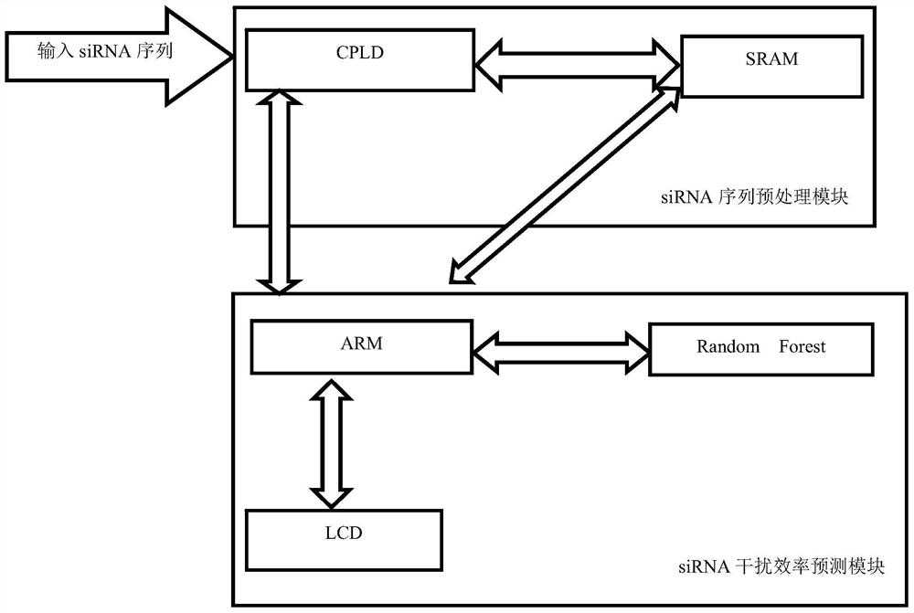 A method for developing siRNA for covid-19 virus drug treatment
