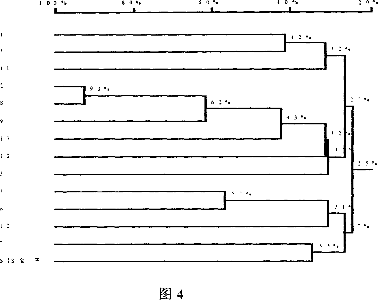 Gene of internal cutting glucanase of Bacillus megatherium and preparation process thereof