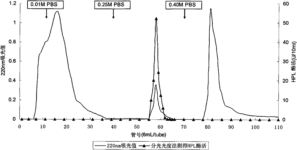 Method for preparing electrophoresis pure amaranth 13-hydroperoxide lyase