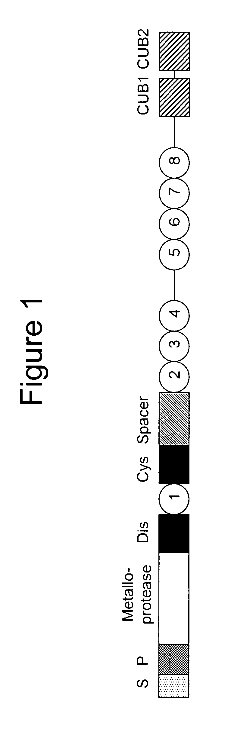 Methods and kits for detecting and measuring ADAMTS13/FXI complexes