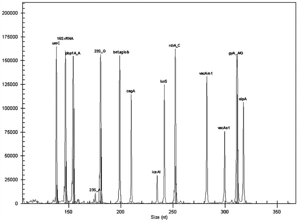 Multiple-gene helicobacter pylori detection system and kit and application thereof
