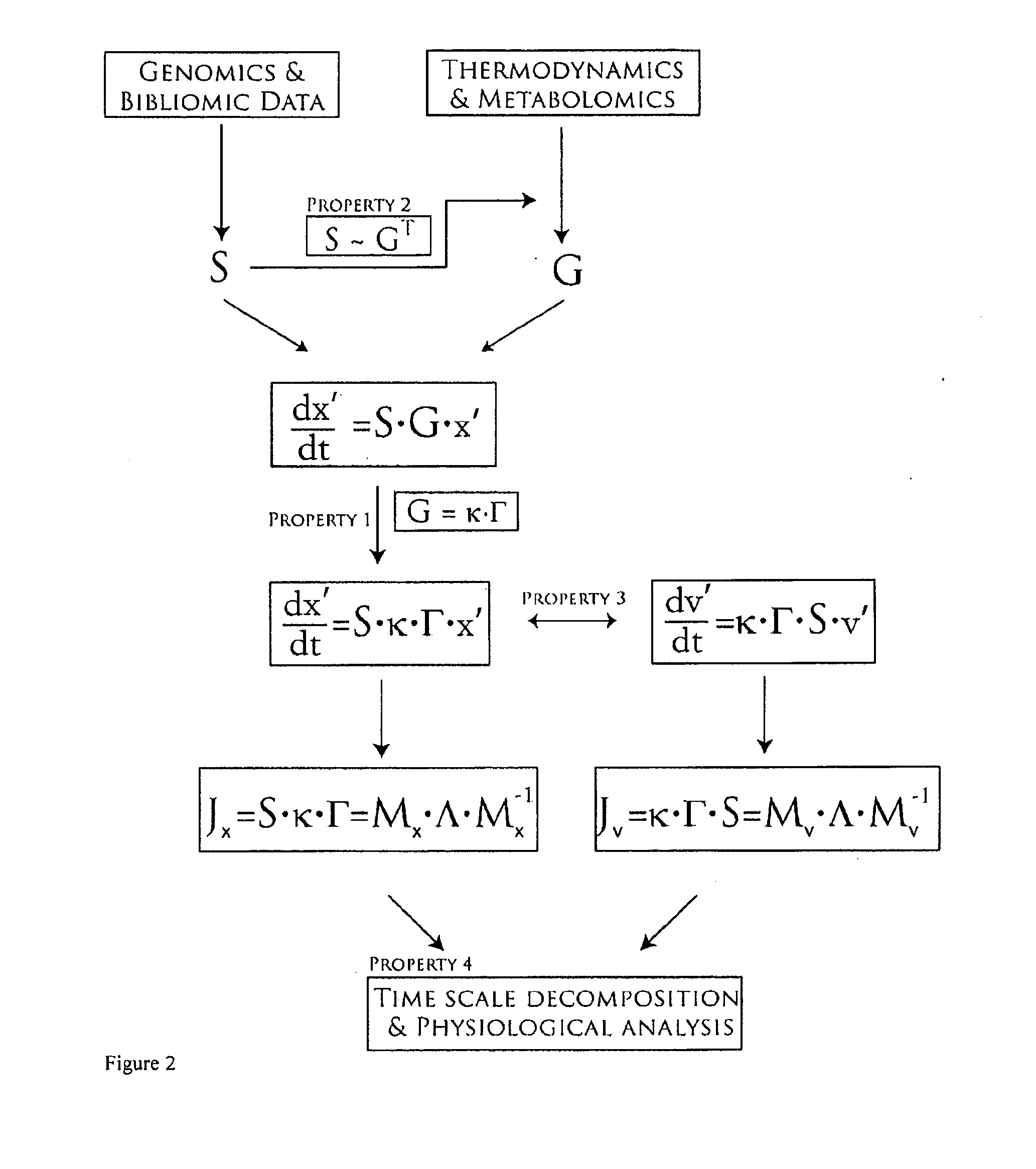 Methods and systems for genome-scale kinetic modeling