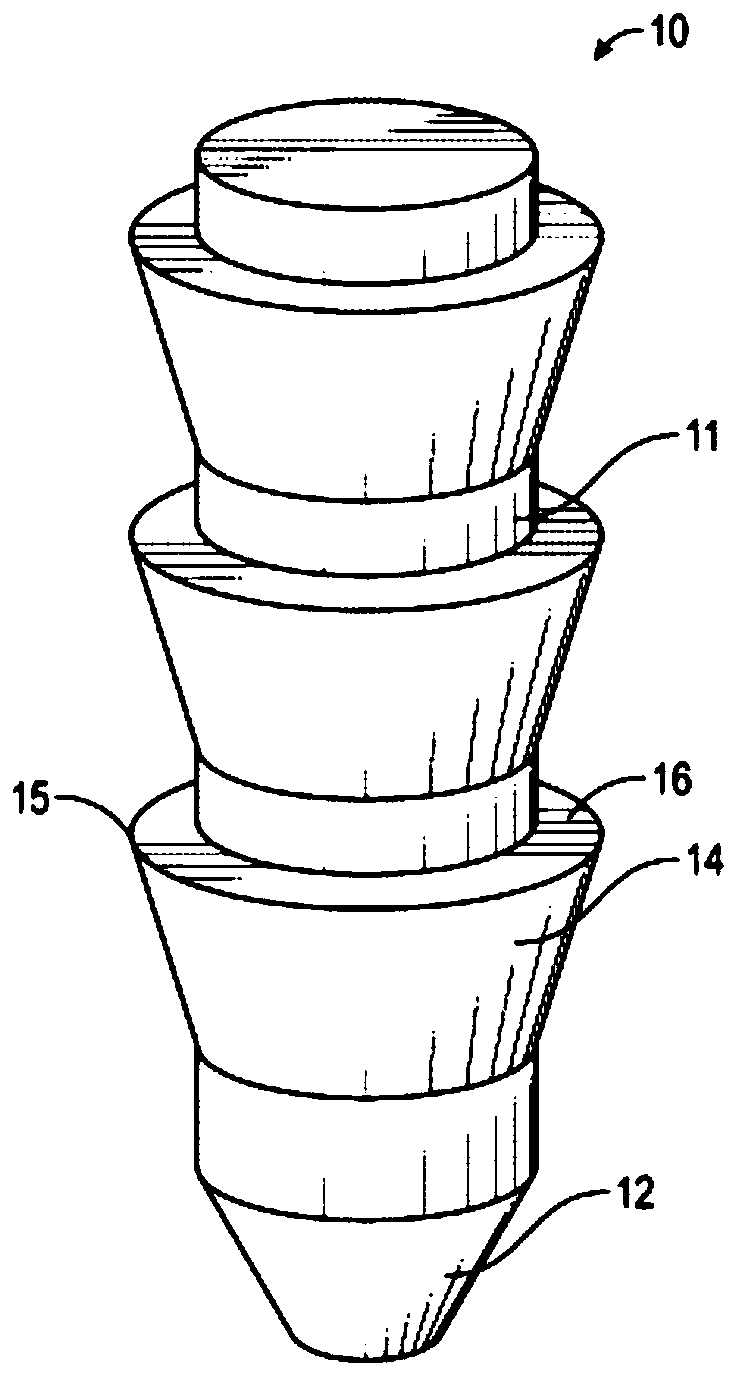 In-situ curing biodegradable anchor with reinforcement