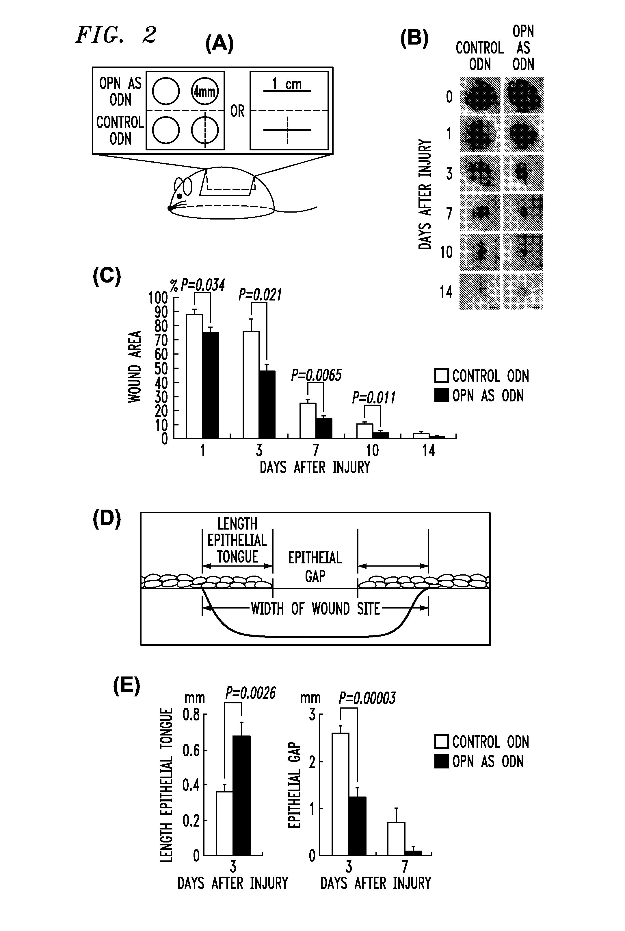 Wound healing compositions and treatments