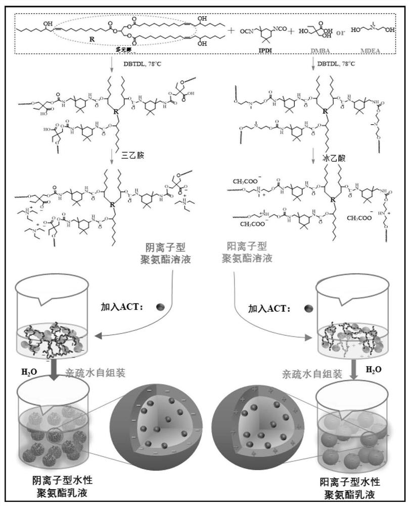 A water-based polyurethane drug-loaded slow-release spray with opposite charges and its preparation method and application