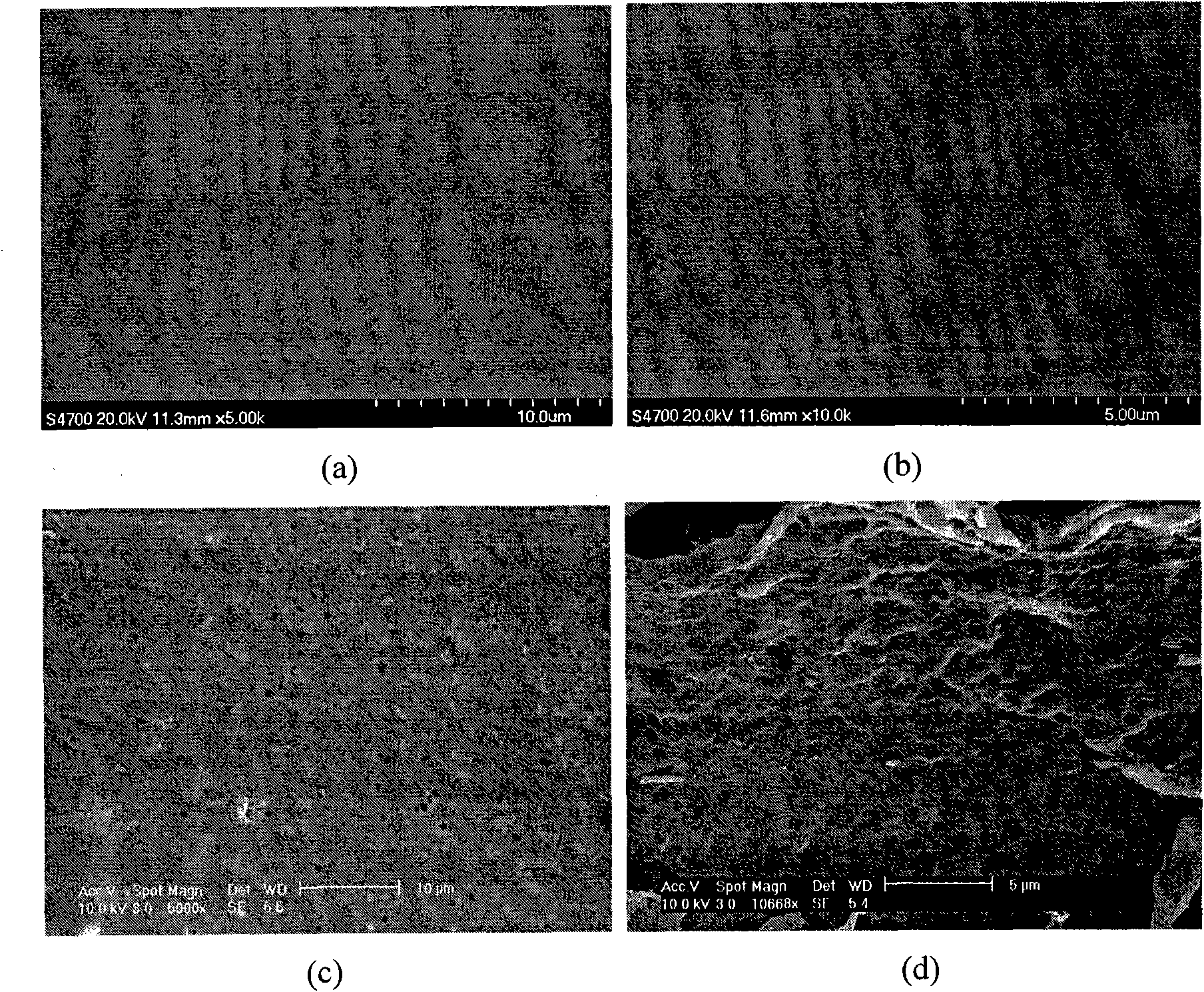 Nafion/sulfonated SiO2 molecular sieve composite proton exchange membrane and preparation method thereof