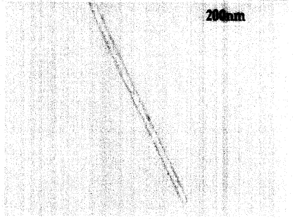 Method for preparing carbon nano-tube or rod by hydrothermal process