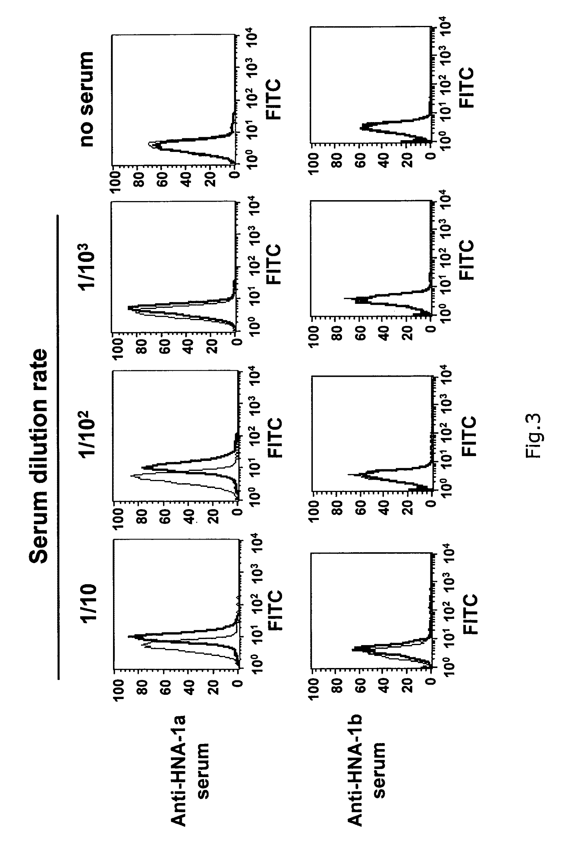 Panel cell used for granulocyte antibody detection