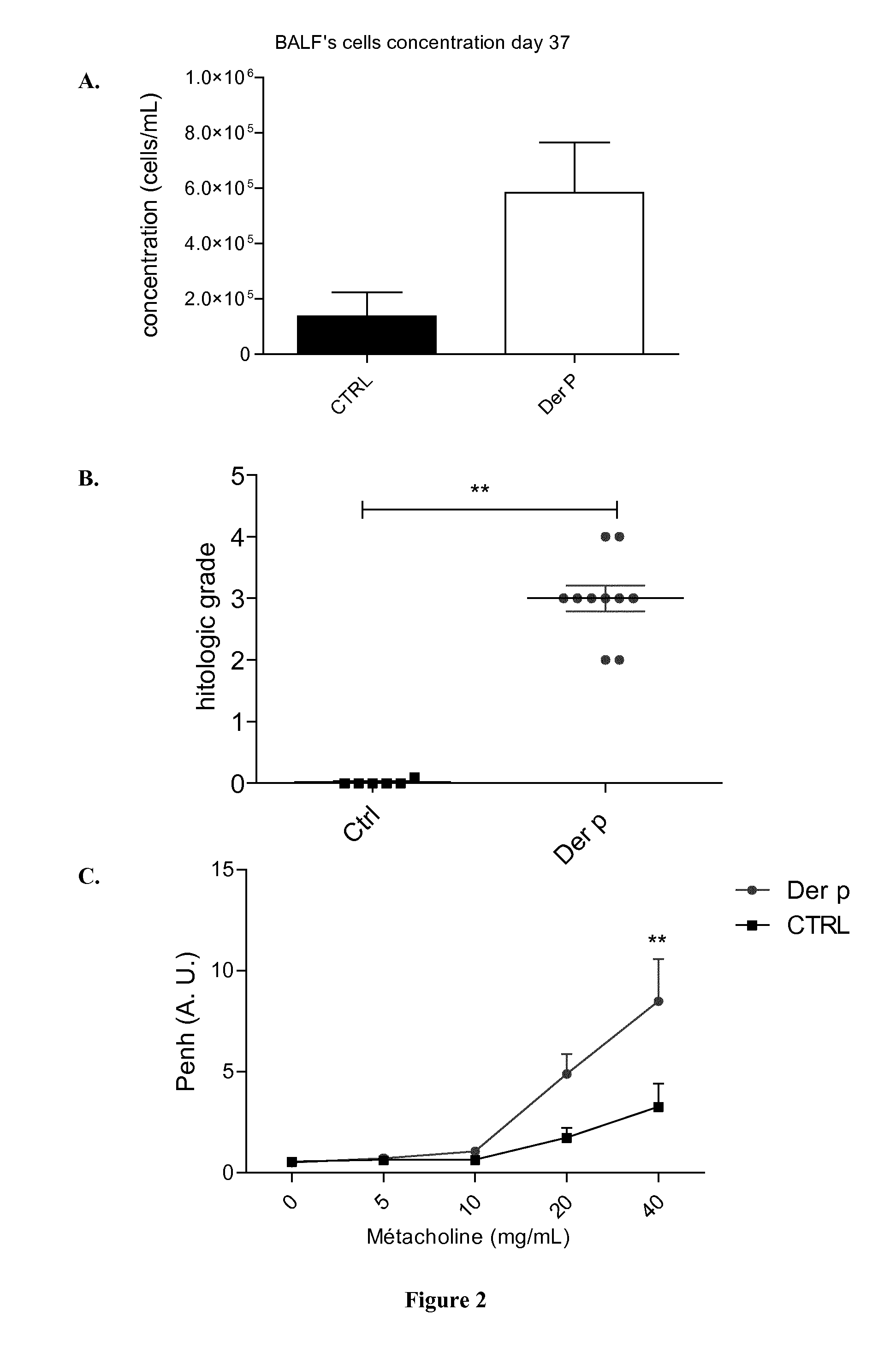 Polypeptides for use in the Prophylactic Treatment of Allergic Asthma