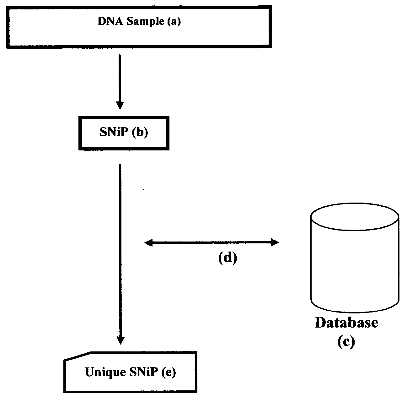 Unique SNiP for use in secure data networking and identity management