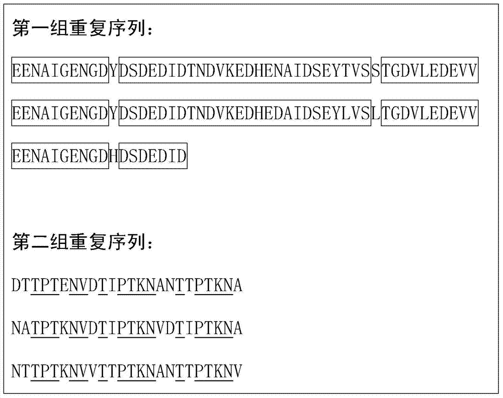 Babesia microti Bm186 antigen and application thereof