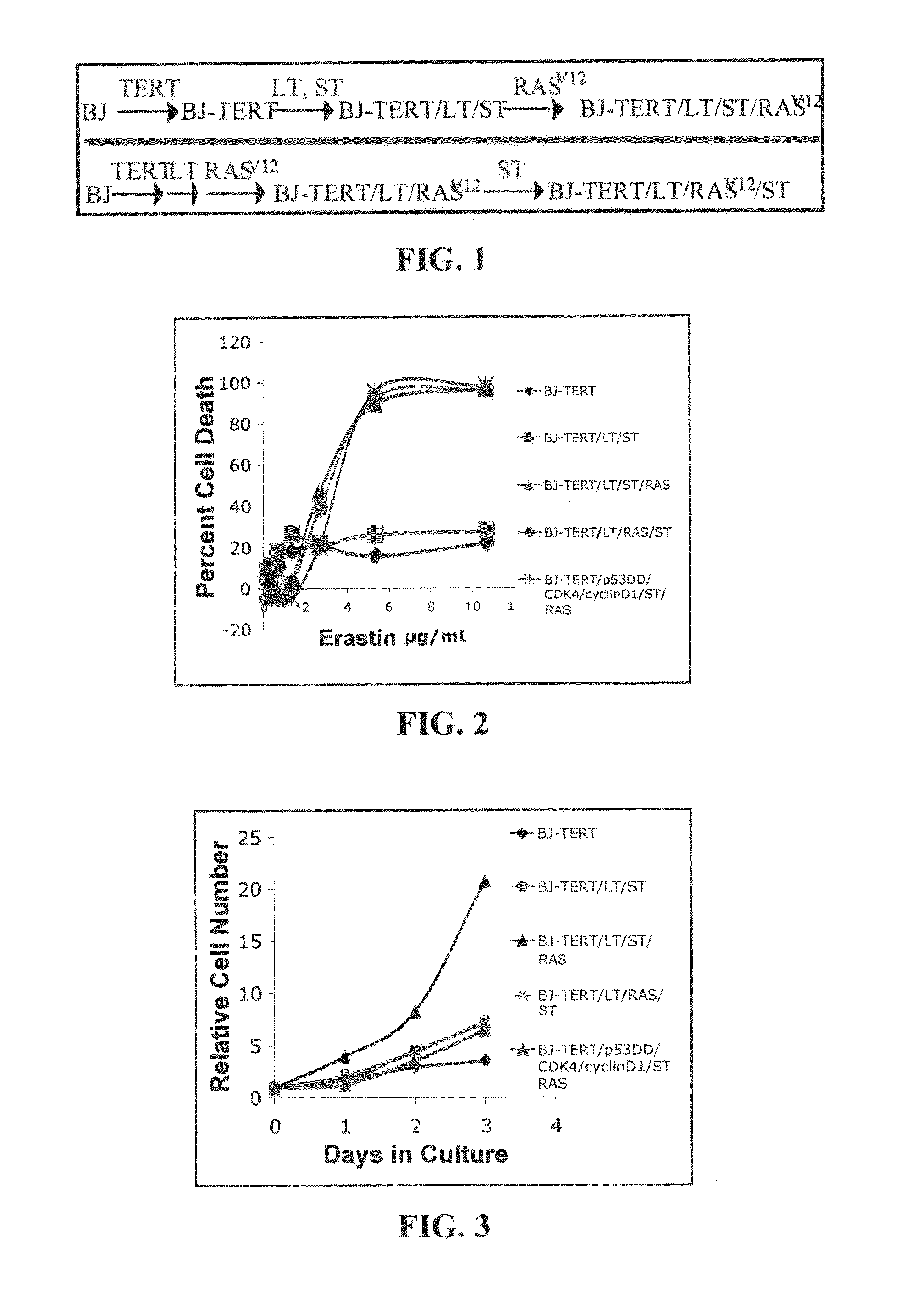 Compunds and compositions that cause non-apoptotic cell death and uses thereof