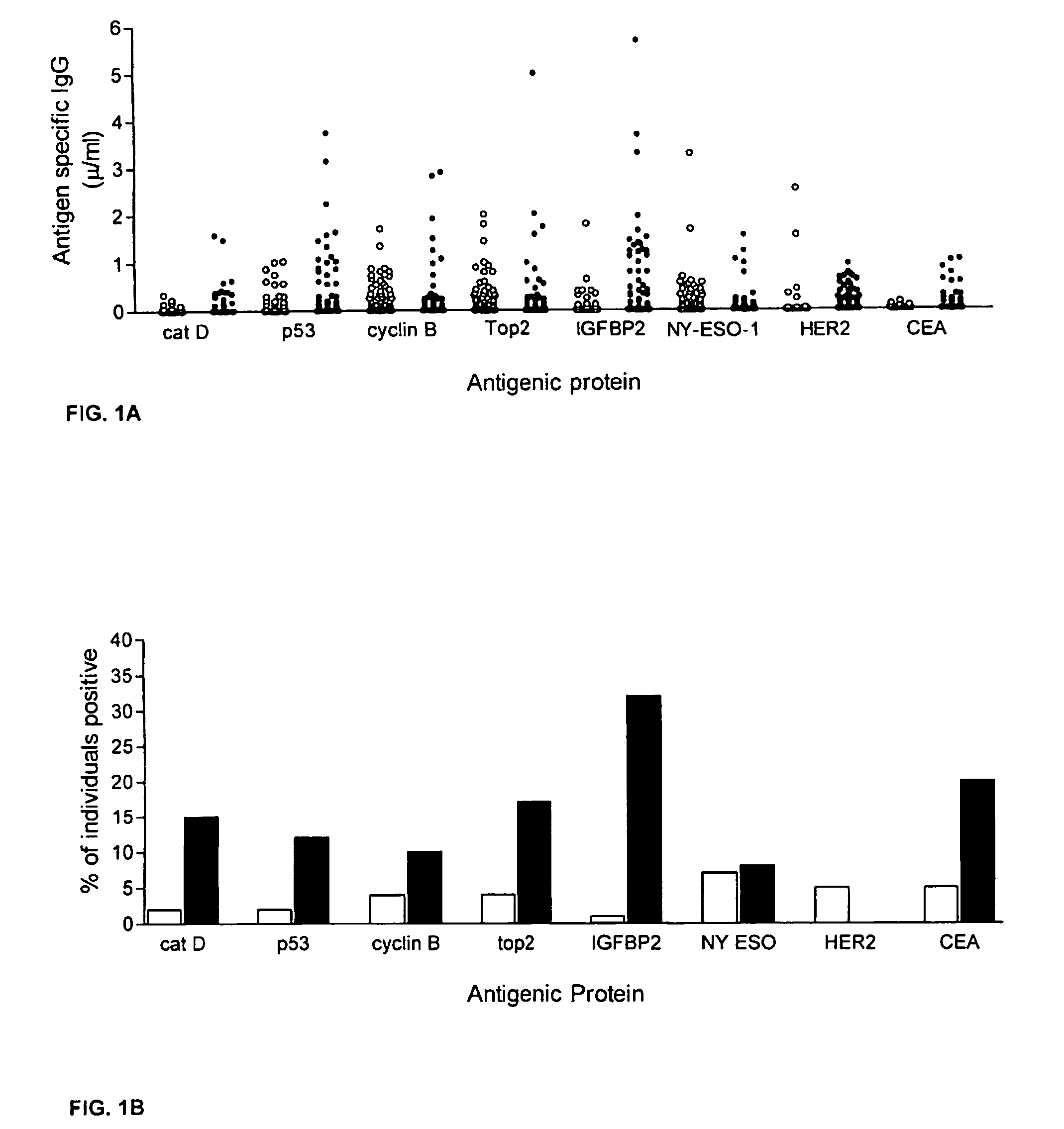 Diagnostic panel of cancer antibodies and methods for use