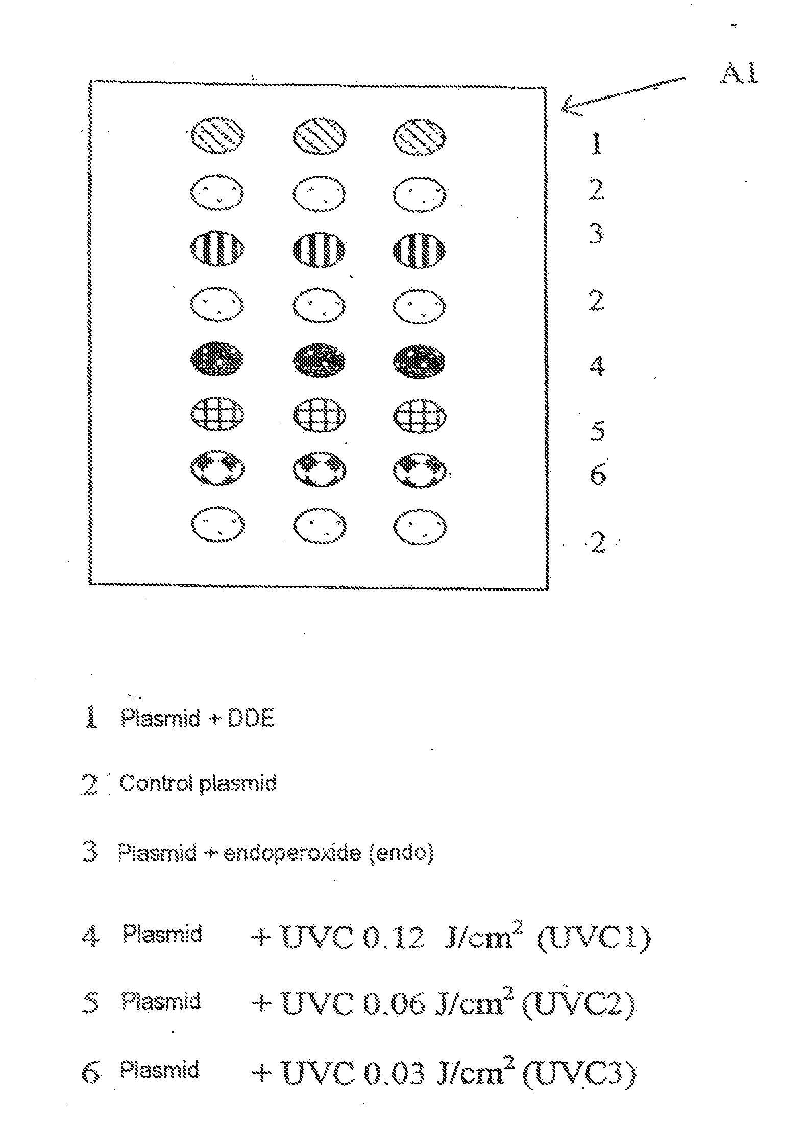 Method for the quantitative assessment of global and specific DNA repair capacities of at least one biological medium, and the applications therefor