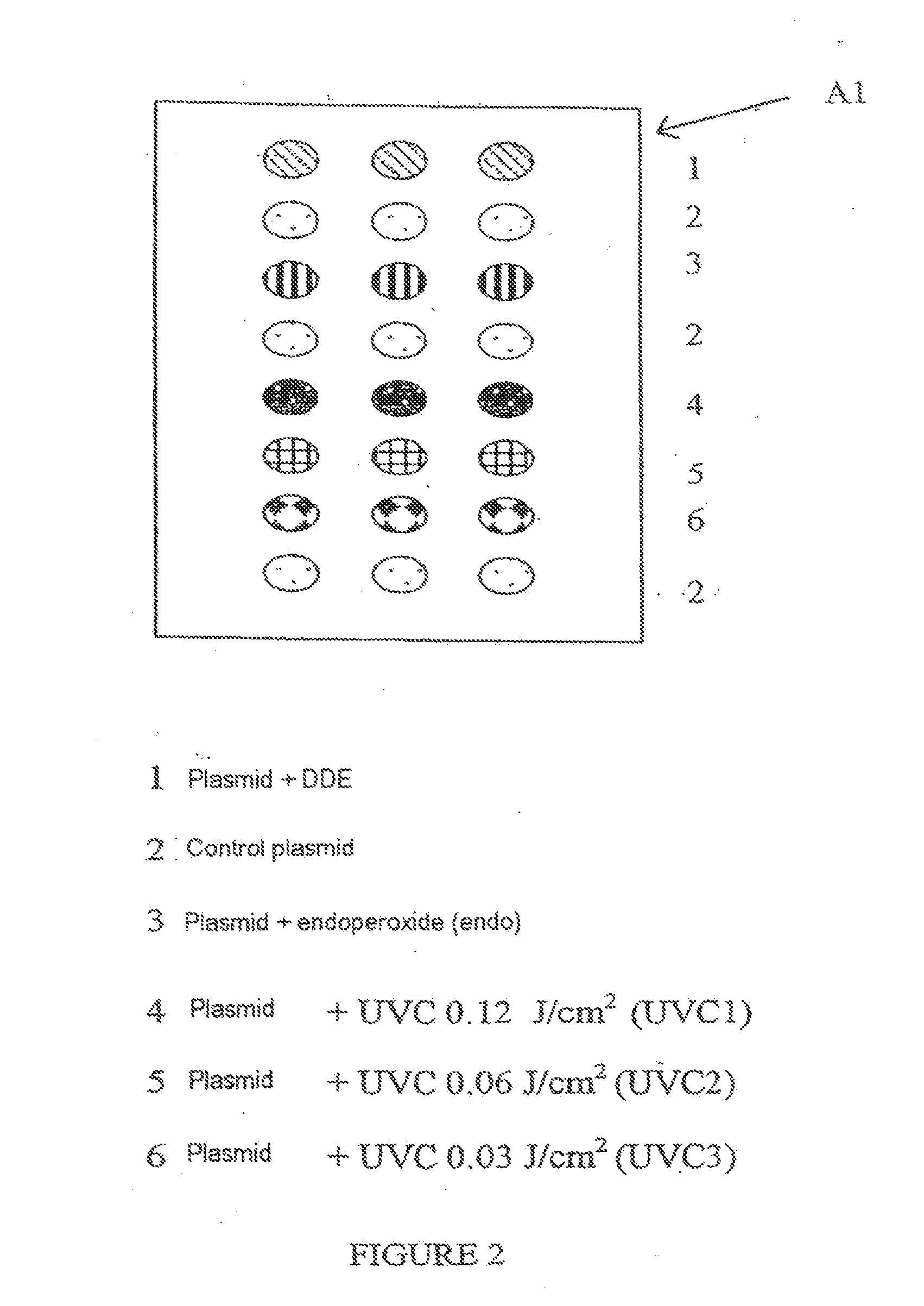 Method for the quantitative assessment of global and specific DNA repair capacities of at least one biological medium, and the applications therefor