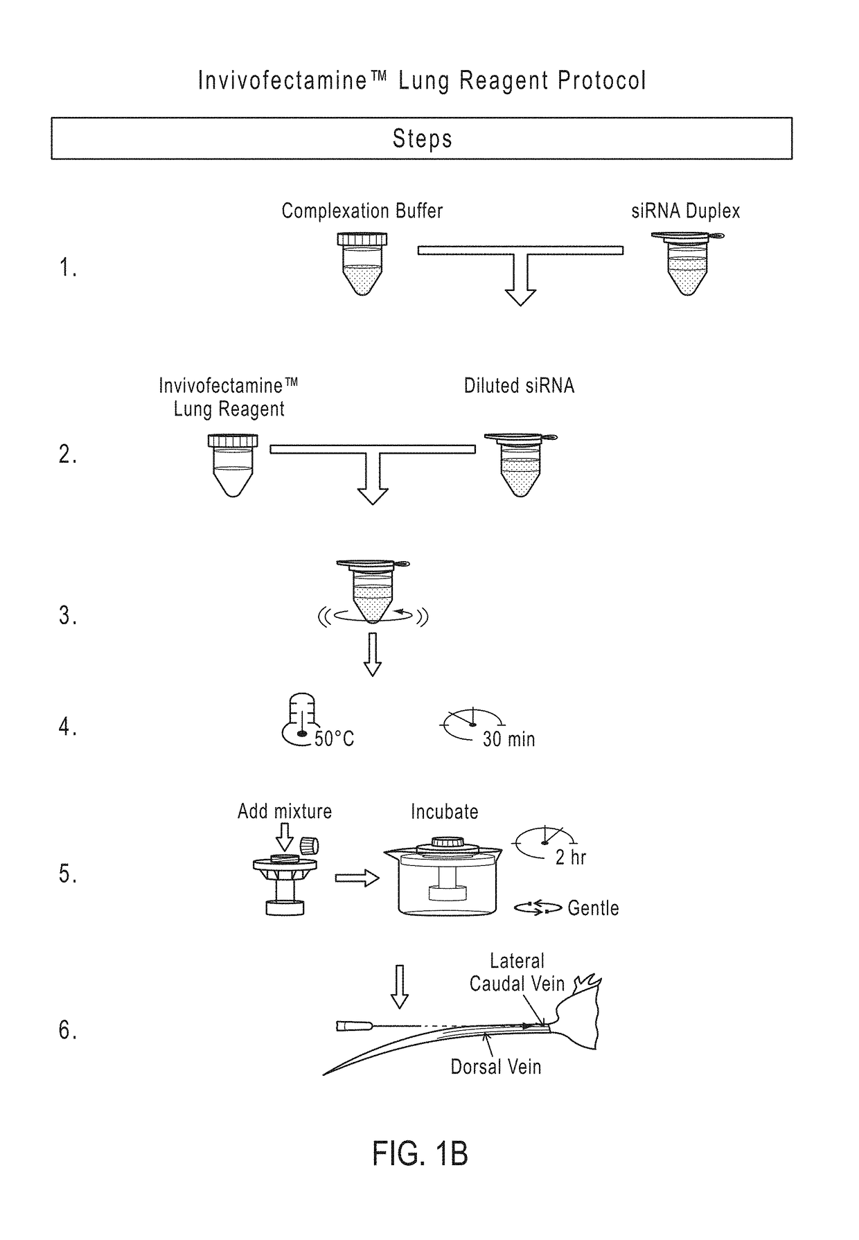 Cationic lipid compositions for tissue-specific delivery