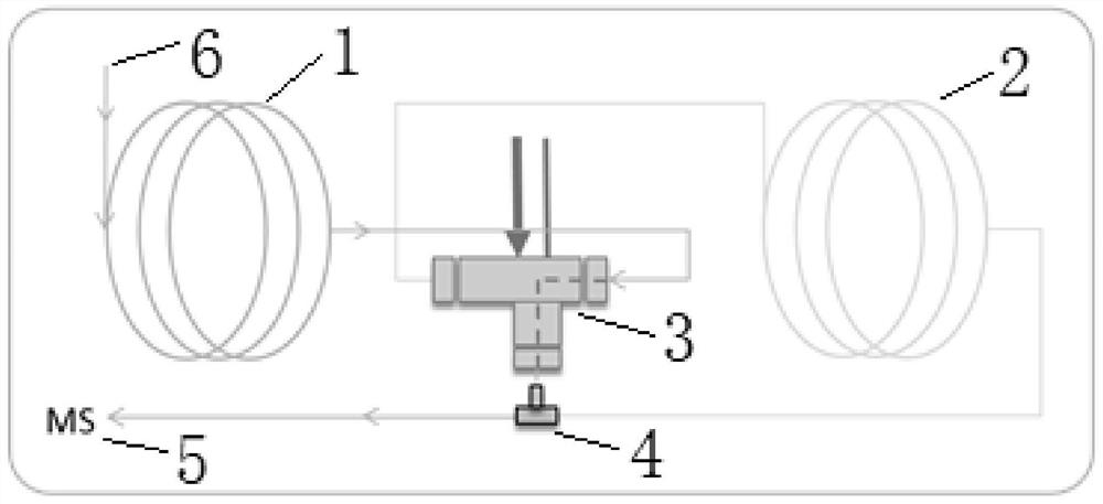 A gas chromatography mass spectrometry detection system and method