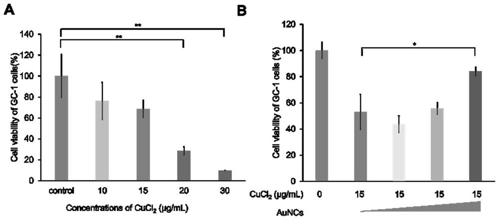 Application of gold nanoclusters and medicine for relieving male reproductive toxicity of copper ions