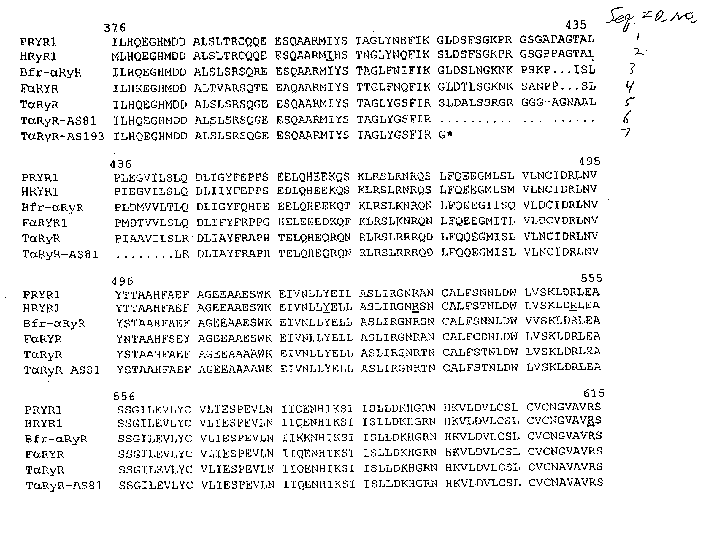 Genetic test for PSE-susceptible turkeys