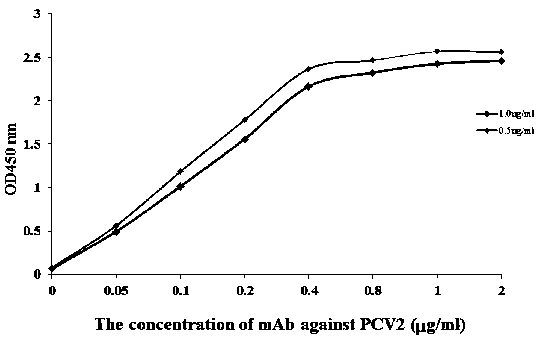 Preparation method and application of anti-PCV2 monoclonal antibody