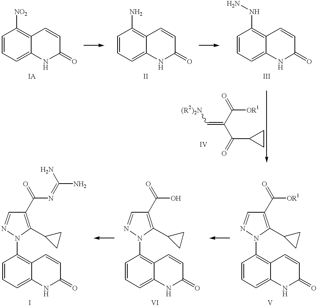 Sodium-hydrogen exchanger type 1 inhibitor