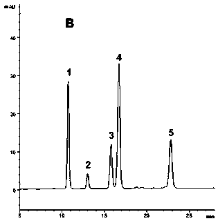 Application of panaxadiol saponins fraction in preparing medicine for preventing dermatitis and scar