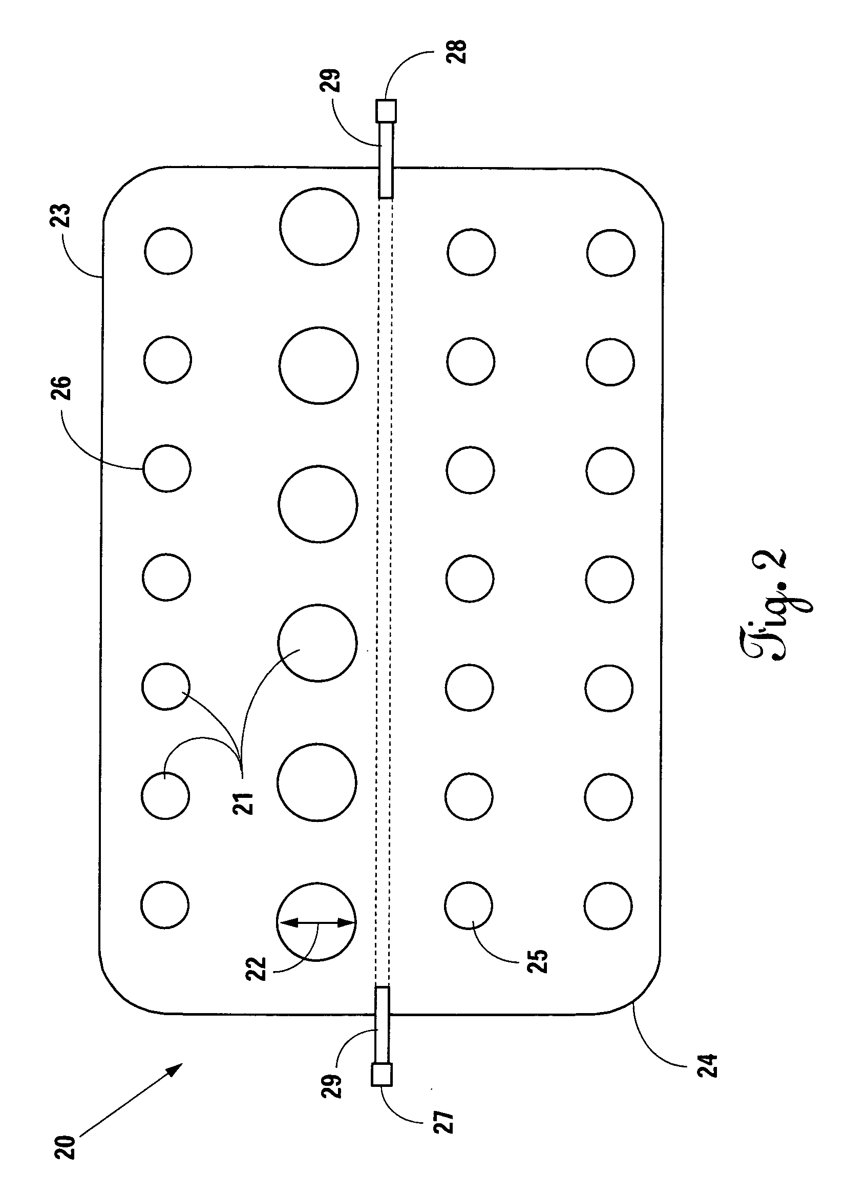 Portable Apparatus for Promoting and Containing Plant Growth