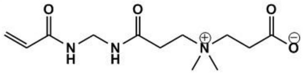 Zwitterionic monomer containing bisamide structure and preparation method of zwitterionic monomer