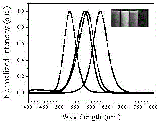 Chemical preparation method of cdte quantum dot fluorescent probe for detection of trace paraquat