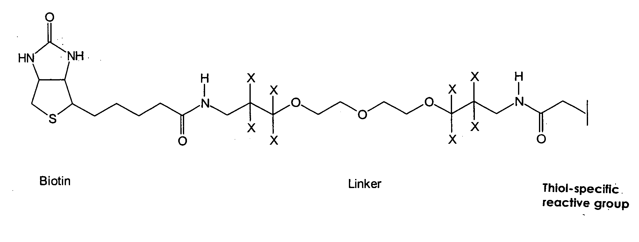 Method and reagent for the specifically identifying and quantifying one or more proteins in a sample