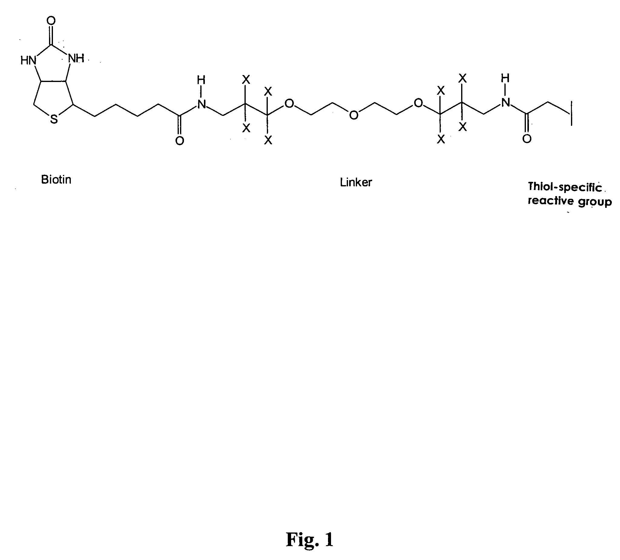 Method and reagent for the specifically identifying and quantifying one or more proteins in a sample