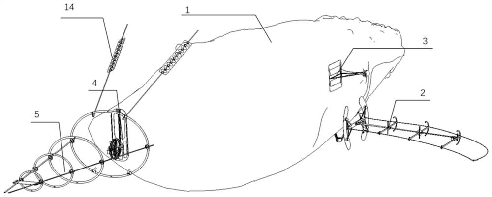 Whale-bionic suspension aircraft and control method thereof