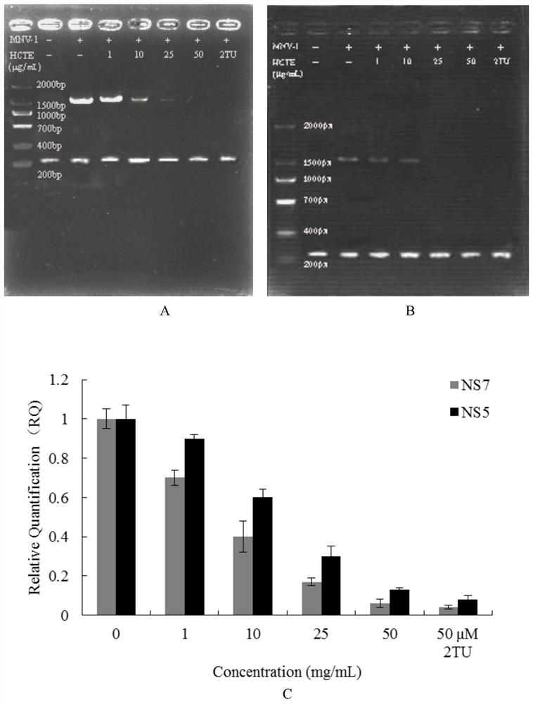 A kind of houttuynia glycoprotein and its preparation and application