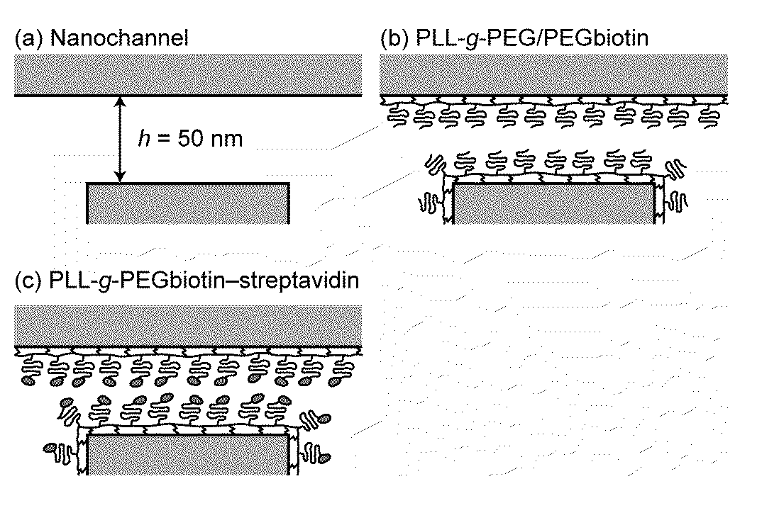 Nanoconfinement- based devices and methods of use thereof