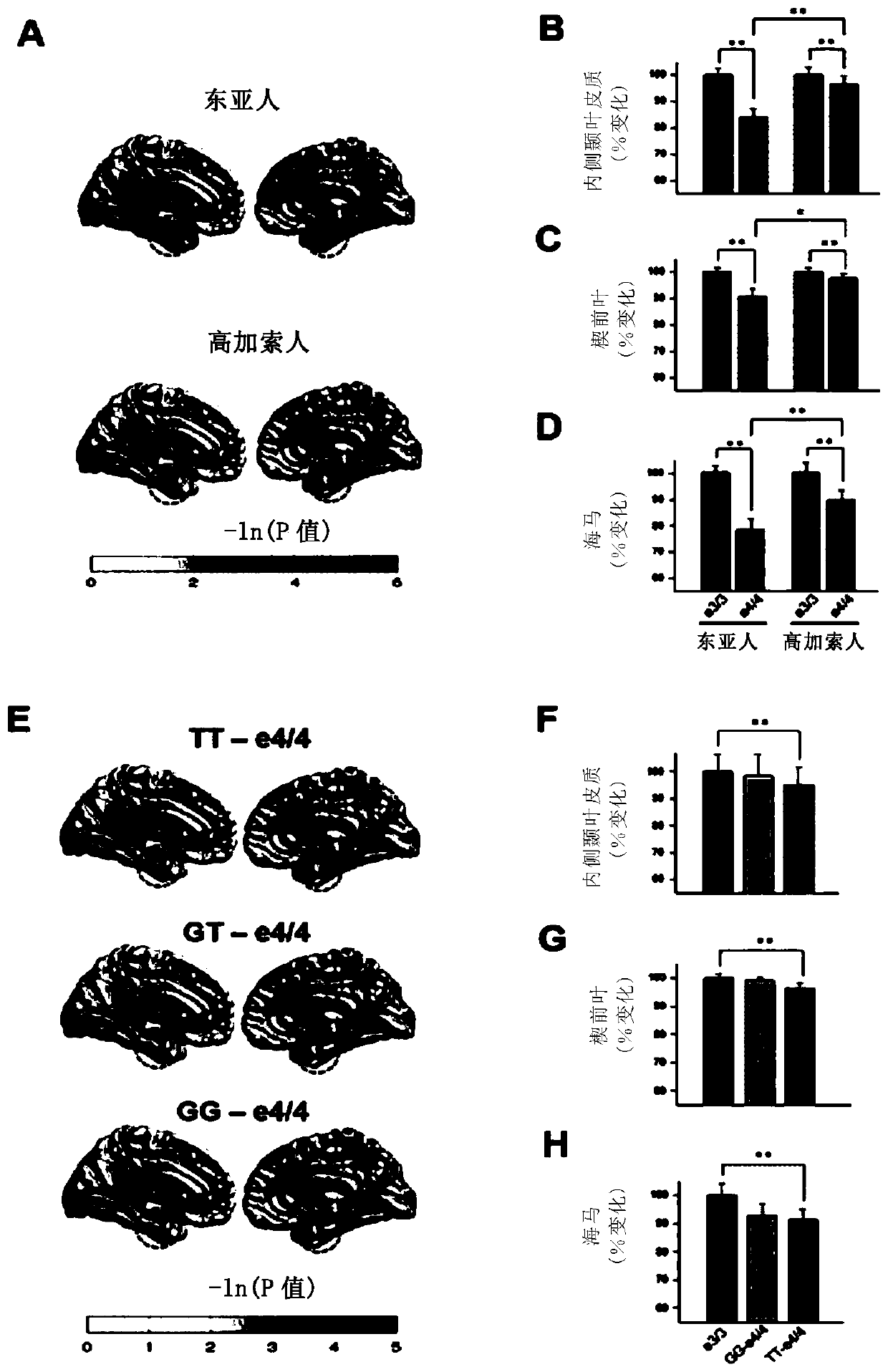Apoe promoter single nucleotide polymorphism associated with alzheimer's disease risk and use thereof