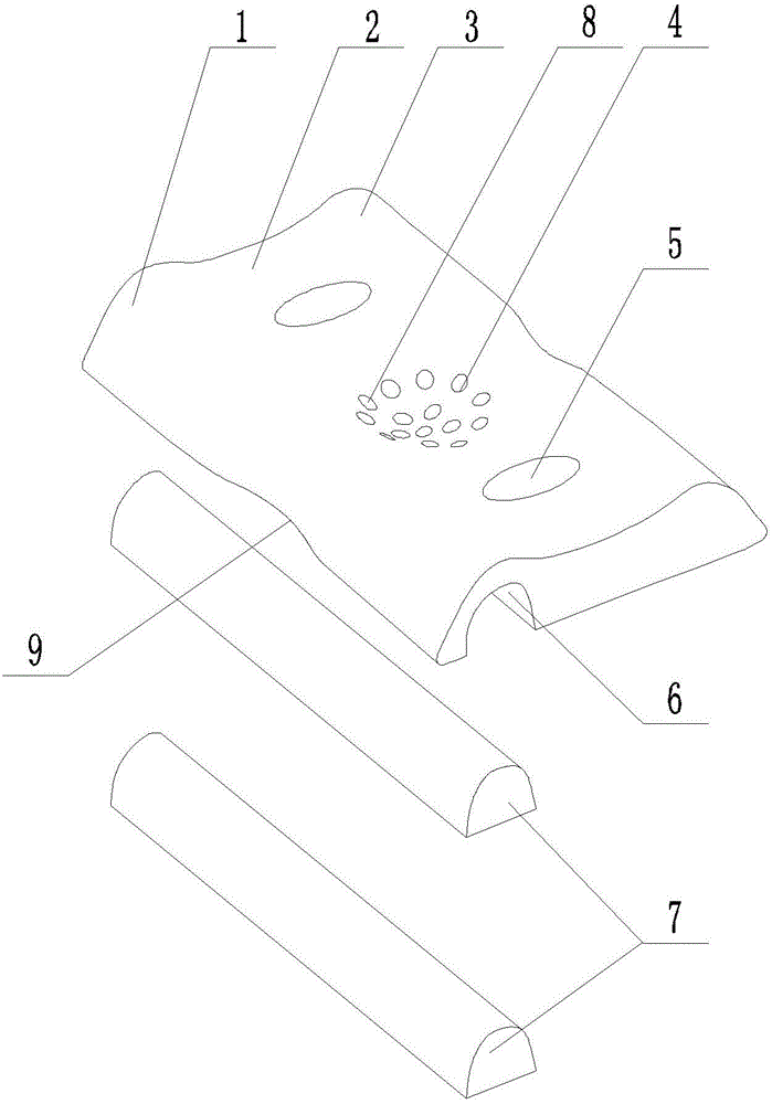 Physiotherapy pillow