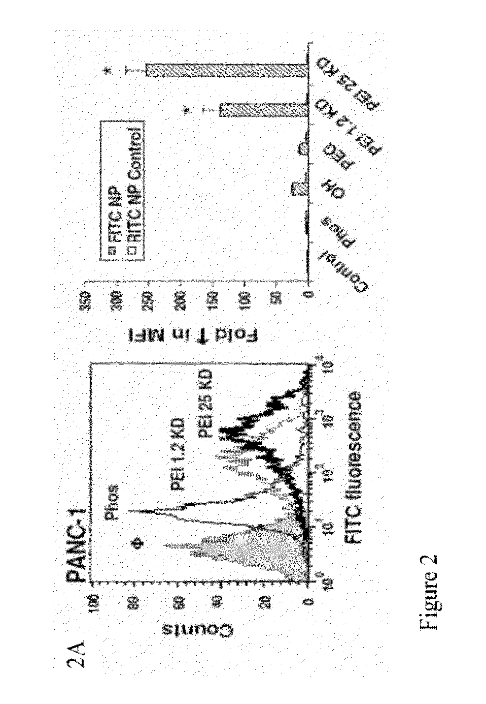 Cationic polymer coated mesoporous silica nanoparticles and uses thereof