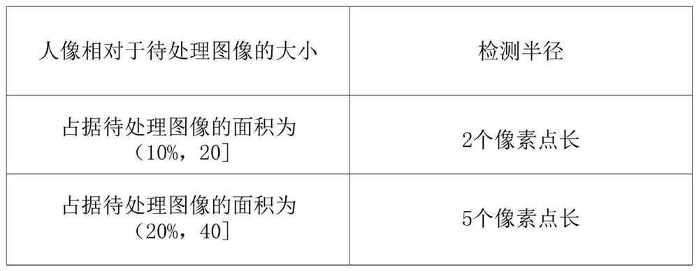 Skin blemish detection method, detection device, terminal equipment and readable storage medium